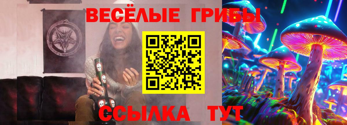 Псилоцибиновые грибы Psilocybe Мичуринск