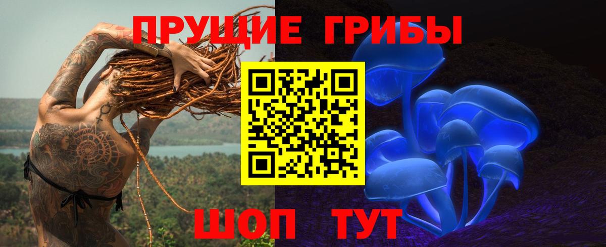 где найти наркотики  Псилоцибиновые грибы Cubensis  Галлюциногенные грибы мухоморы  Вход с VPN  Мичуринск 